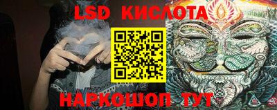 PSILOCYBIN Бугуруслан