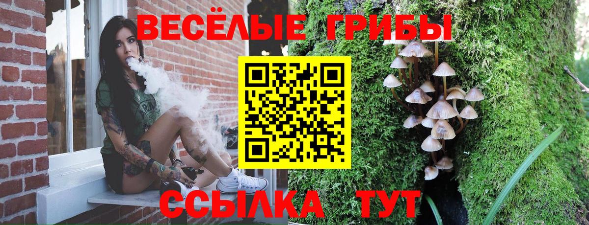 Сарапул  сколько стоит  Псилоцибиновые грибы GOLDEN TEACHER  Вход с VPN  Галлюциногенные грибы мухоморы 