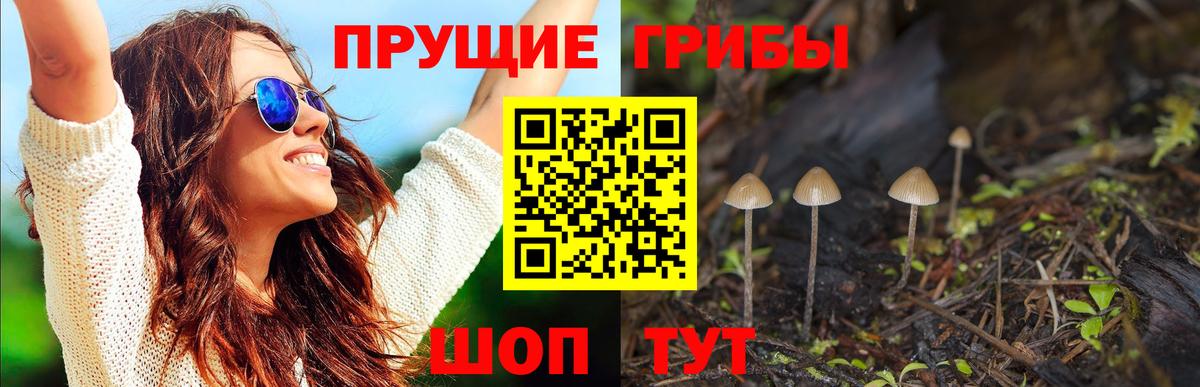 Псилоцибиновые грибы ЛСД Сарапул